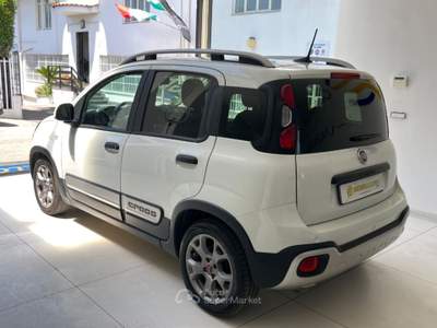 Fiat Panda 1.2 EasyPower City Cross Grigio usata Somma Vesuviana