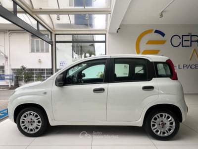 Fiat Panda 1.2 EasyPower gpl da €119,00 mensili  Bianco usata Somma Vesuviana