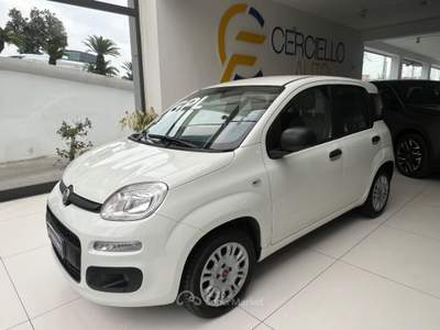 Fiat Panda 1.2 EasyPower gpl da €119,00 mensili  Bianco usata Somma Vesuviana
