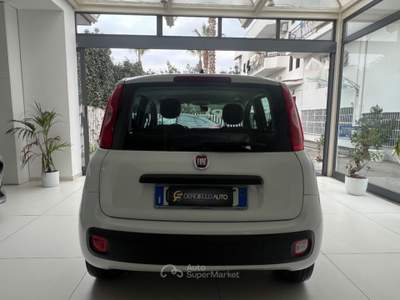 Fiat Panda 1.2 EasyPower gpl da €119,00 mensili  Bianco usata Somma Vesuviana