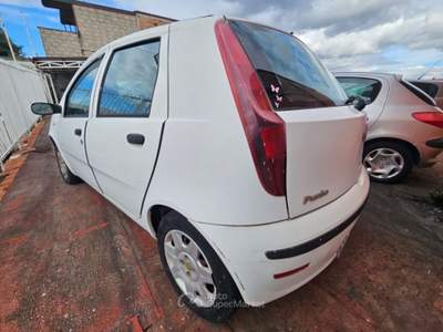 Fiat Punto 1.2 5 porte Active Natural Power Bianco usata Somma Vesuviana