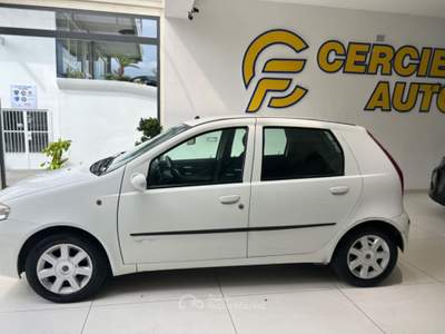 Fiat Punto 1.3 Multijet 16V 5 porte Dynamic Bianco usata Somma Vesuviana