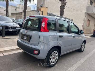 Fiat Panda 1.0 FireFly Hybrid Grigio usata San Michele Salentino