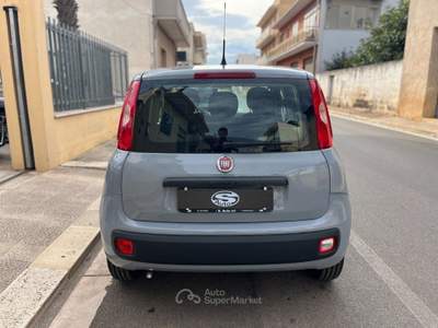 Fiat Panda 1.0 FireFly Hybrid Grigio usata San Michele Salentino