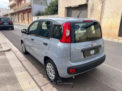 Fiat Panda 1.0 FireFly Hybrid Grigio usata San Michele Salentino