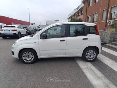 Fiat Panda 1.0 firefly hybrid s&s 70cv 5p.ti Bianco usata Torino