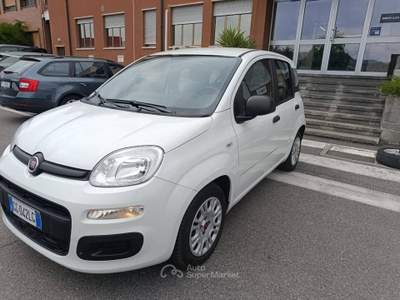 Fiat Panda 1.0 firefly hybrid s&s 70cv 5p.ti Bianco usata Torino
