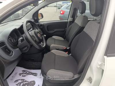 Fiat Panda 1.0 firefly hybrid s&s 70cv 5p.ti Bianco usata Torino
