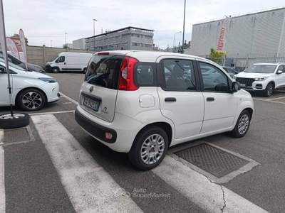 Fiat Panda 1.0 firefly hybrid s&s 70cv 5p.ti Bianco usata Torino