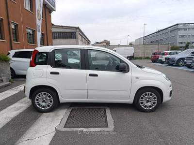Fiat Panda 1.0 firefly hybrid s&s 70cv 5p.ti Bianco usata Torino