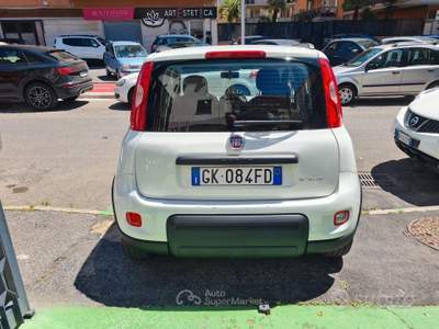 Fiat Panda FireFly S&S Hybrid City Life usata Ladispoli