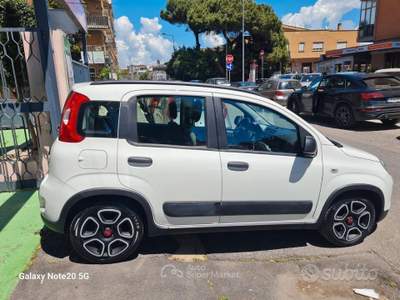 Fiat Panda FireFly S&S Hybrid City Life usata Ladispoli