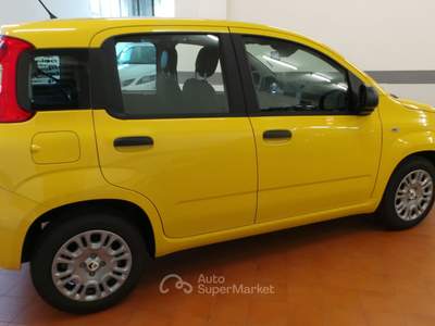 Fiat Pandina offerta legata al finanziamento Giallo usata Dormelletto