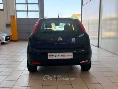 Fiat Punto Fiat Punto 1.4  PERFETTO PER NEOPATENTATI usata Cologno Monzese