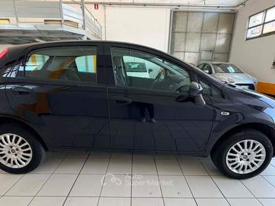 Fiat Punto Fiat Punto 1.4  PERFETTO PER NEOPATENTATI usata Cologno Monzese