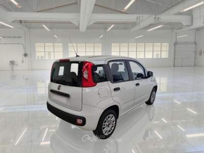 Fiat Panda FIAT PANDA 1.2 69 CV SES E6D-TEMP EASY 5 PORTE BERLINA usata Casei Gerola