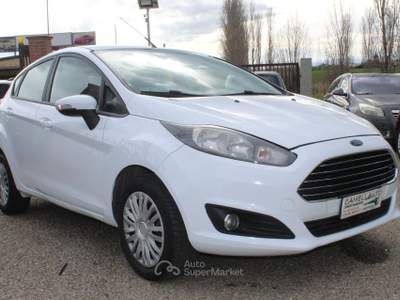 Ford Fiesta 1.4 GPL Business Ideale per neopatentati Bianco usata Pisticci
