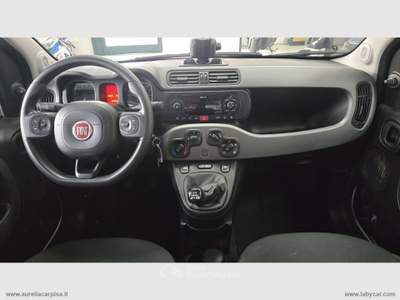 Fiat Panda Panda 1.0 FireFly S&S Hybrid City Cross Grigio usata San Giuliano Terme