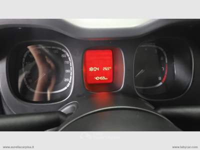 Fiat Panda Panda 1.0 FireFly S&S Hybrid City Cross Grigio usata San Giuliano Terme