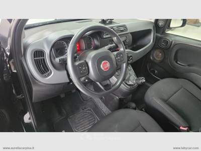 Fiat Panda Panda 1.0 FireFly S&S Hybrid City Cross Grigio usata San Giuliano Terme