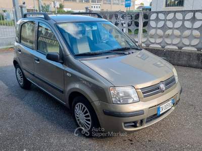 Fiat Panda Dynamic usata Pianezza