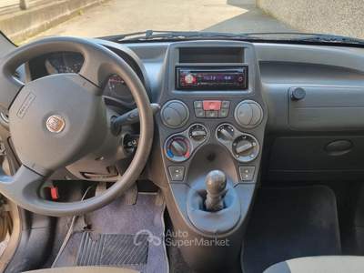 Fiat Panda Dynamic usata Pianezza