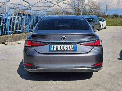 Lexus ES ES 300h 2.5 Business cvt - FW006AW Grigio usata Basiliano
