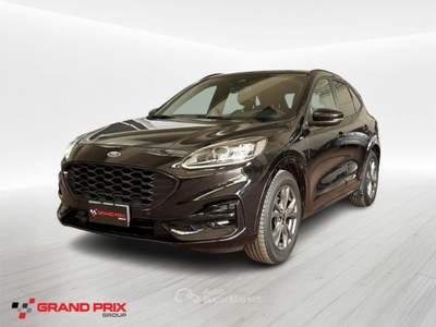 Ford Kuga 1.5 EcoBlue 120 CV aut. 2WD ST-Line X Nero usata Castenaso