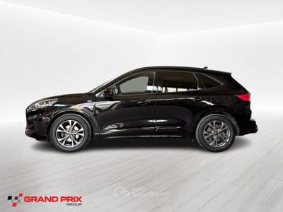 Ford Kuga 1.5 EcoBlue 120 CV aut. 2WD ST-Line X Nero usata Castenaso