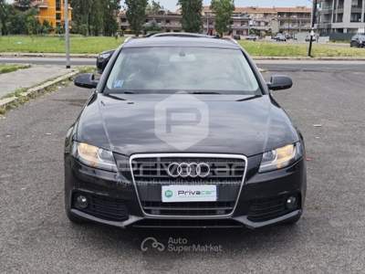 Audi A4 AUDI A4 Avant 2.0 TDI 143CV F.AP. Grigio usata Aprilia