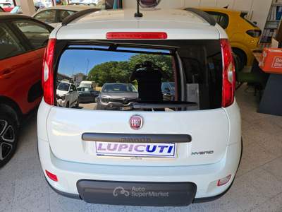 Fiat Panda COME NUOVA Bianco usata Colleferro