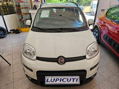 Fiat Panda COME NUOVA Bianco usata Colleferro