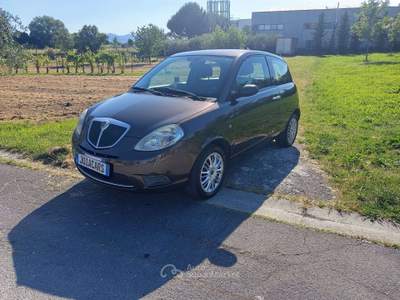 Lancia Ypsilon Ypsilon II 2007 1.2 8v Versus Marrone usata Montecatini-Terme