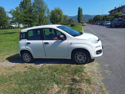 Fiat Panda Panda III 2012 1.2 Lounge 69cv Bianco usata Montecatini-Terme