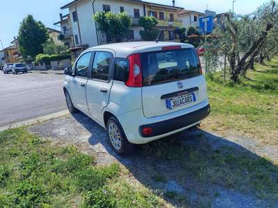 Fiat Panda Panda III 2012 1.2 Lounge 69cv Bianco usata Montecatini-Terme
