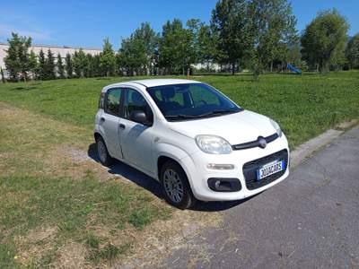 Fiat Panda Panda III 2012 1.2 Lounge 69cv Bianco usata Montecatini-Terme