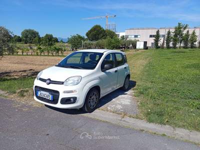 Fiat Panda Panda III 2012 1.2 Lounge 69cv Bianco usata Montecatini-Terme