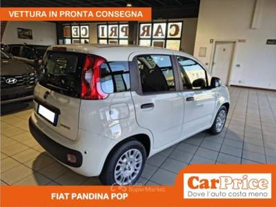 Fiat Pandina 1.0 FireFly 65CV Hybrid Pop usata Gallarate