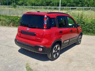 Fiat Panda Pandina Cross 1.0 FireFly S&S Hybrid usata TURRIVALIGNANI
