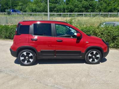 Fiat Panda Pandina Cross 1.0 FireFly S&S Hybrid usata TURRIVALIGNANI