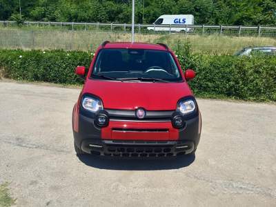 Fiat Panda Pandina Cross 1.0 FireFly S&S Hybrid usata TURRIVALIGNANI