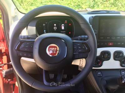 Fiat Panda Pandina Cross 1.0 FireFly S&S Hybrid usata TURRIVALIGNANI