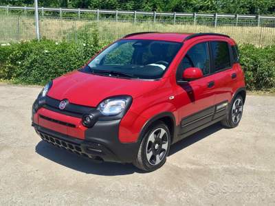 Fiat Panda Pandina Cross 1.0 FireFly S&S Hybrid usata TURRIVALIGNANI