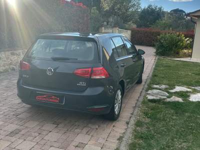 Volkswagen Golf 5p. Comfortline BlueMotion Grigio usata Rosignano Marittimo