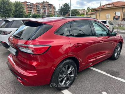 Ford Kuga Kuga 1.5 EcoBlue 120 CV 2WD ST-Line Rosso usata Velletri