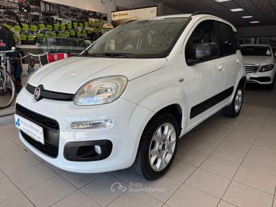 Fiat Panda Turbo Natural Power Lounge Bianco usata Viareggio