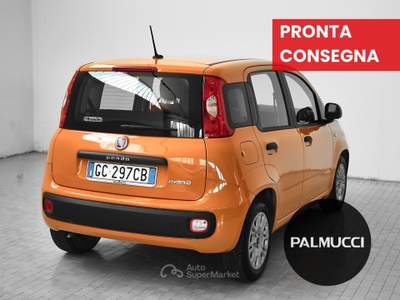 Fiat Panda 1.2 69cv S&S E6d-Temp Easy Arancione usata Prato