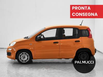 Fiat Panda 1.2 69cv S&S E6d-Temp Easy Arancione usata Prato