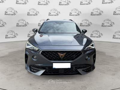 Cupra Formentor 2.0 TDI 4Drive DSG Grigio usata Vedelago