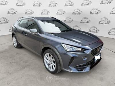 Cupra Formentor 2.0 TDI 4Drive DSG Grigio usata Vedelago
